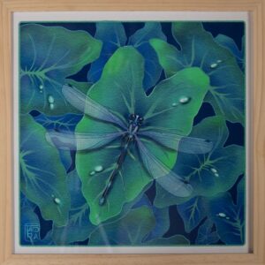 Demoiselle sur feuille songe