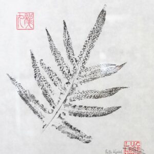 Patte lézard fougères