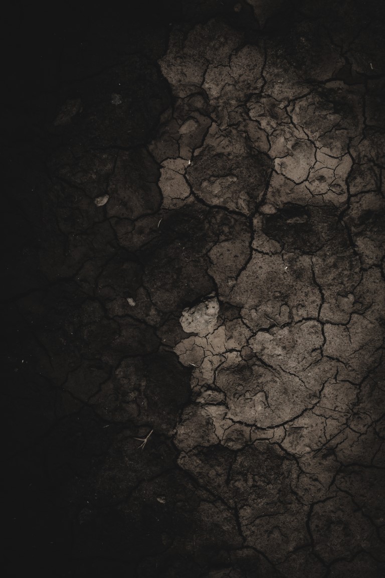 _B8A2077-Avec accentuation-Bruit (Medium)